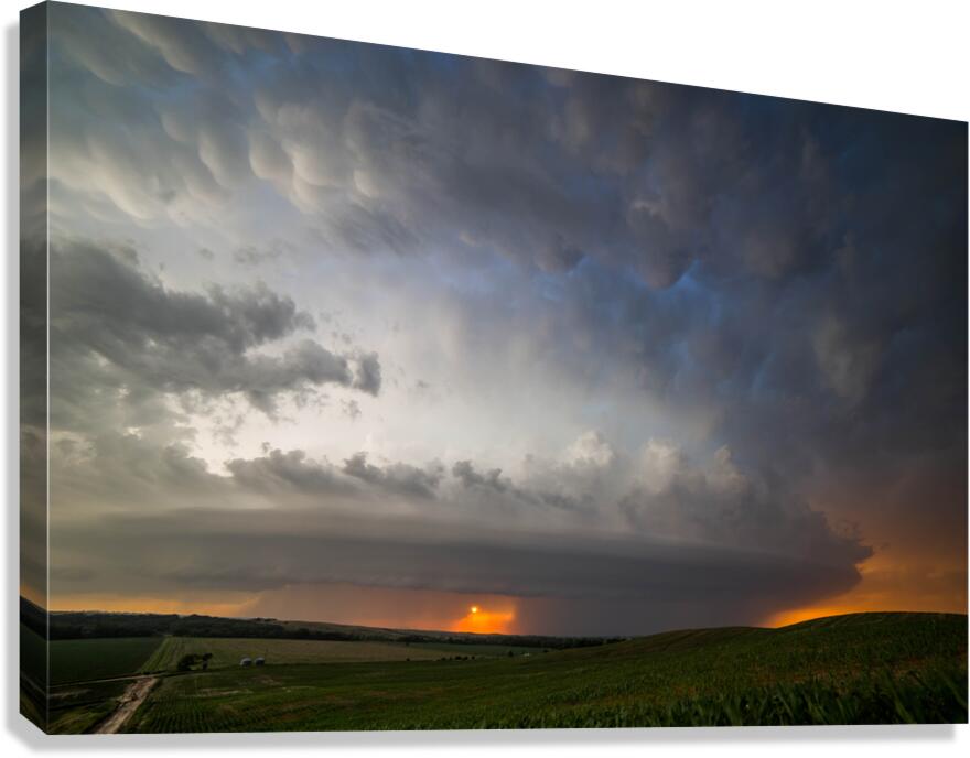 Burwell  Canvas Print
