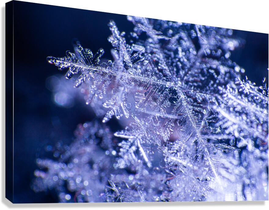Flakes Canvas Print
