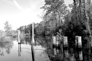 Pablo Marsh Dock