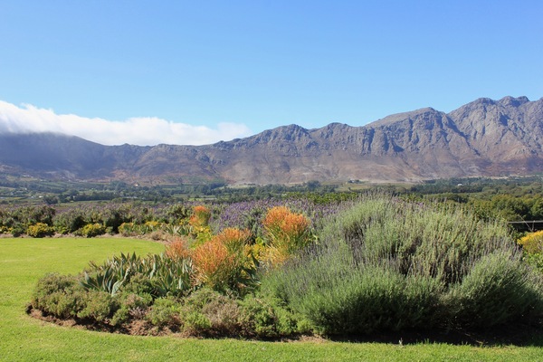 SA Mountains 2 Print