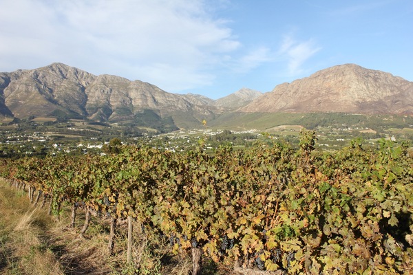 SA Mountains3  Print