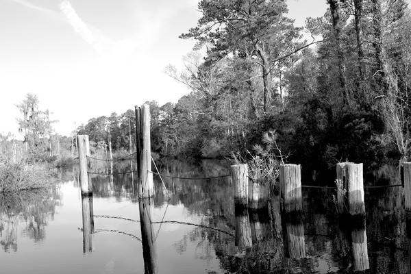 Pablo Marsh Dock Print