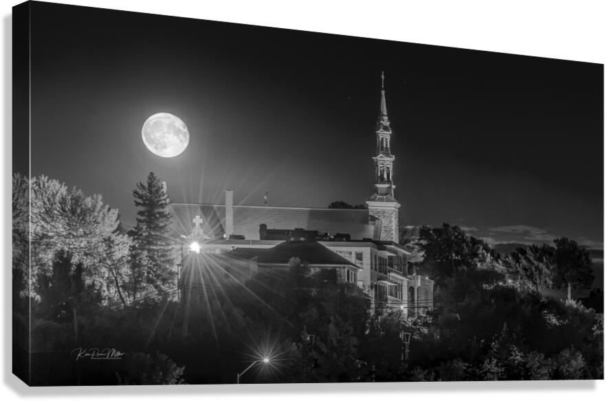 Moonrise Canvas Print