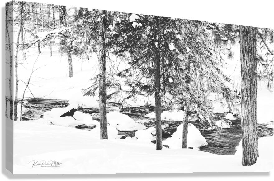 Stark Winter Canvas Print