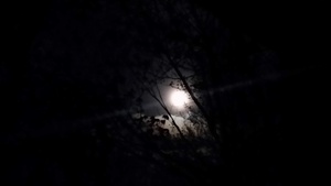 Dark moon