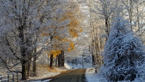 Winter road
