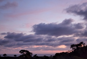Purple evening
