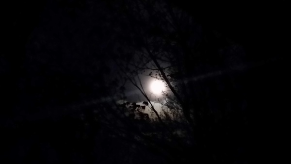 Dark moon Print