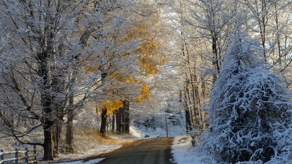 Winter road Print
