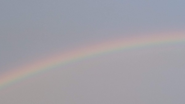 Rainbow Print