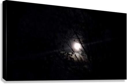 Dark moon Canvas Print