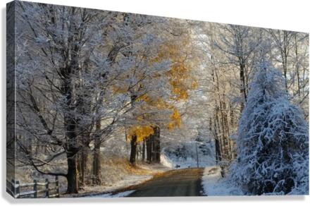 Winter road Canvas Print