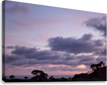 Purple evening Canvas Print