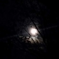Dark moon