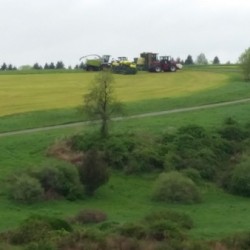 Tractor mowing