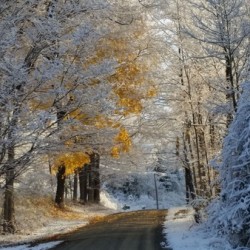 Winter road