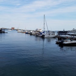 Peaceful boats