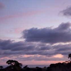 Purple evening