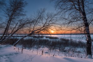 DSC_5948 1