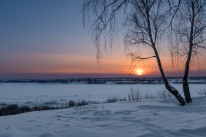 DSC_5963 1