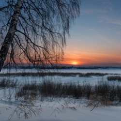 DSC_5970 1