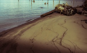 Past