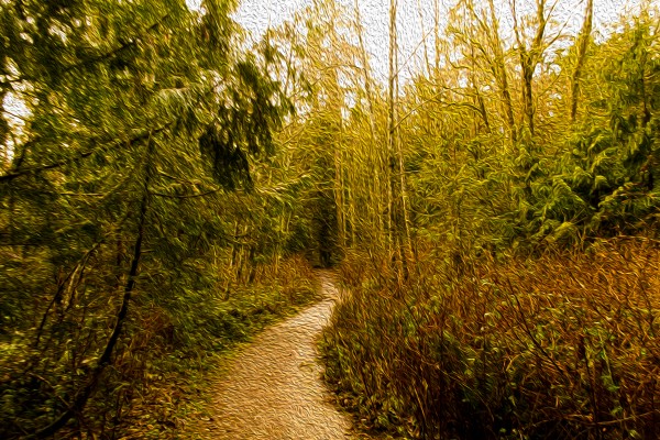Walk Print