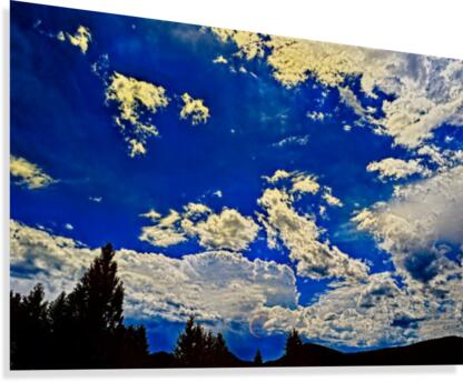 Exit Canvas Print