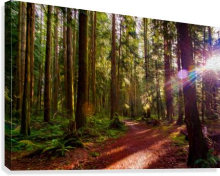 Guide Canvas Print