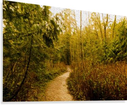 Walk Canvas Print