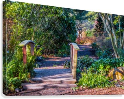 Cross Canvas Print
