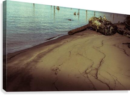 Past Canvas Print