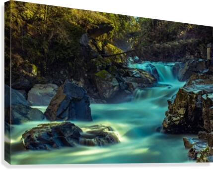 Flow Canvas Print