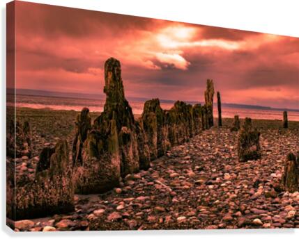 Red lined Canvas Print