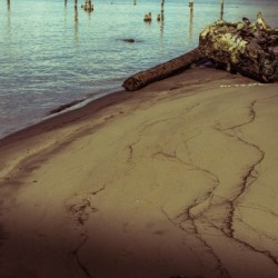 Past