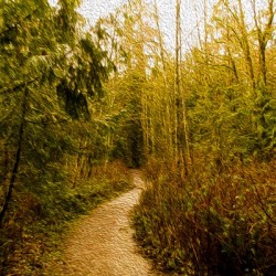 Walk