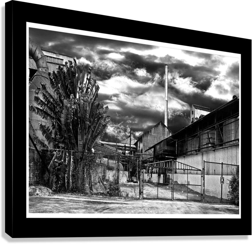 Appleton Rum Factory Canvas Print