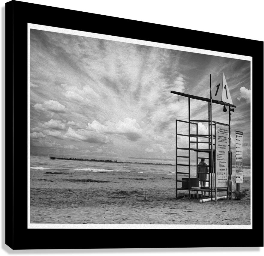 On Guard Canvas Print