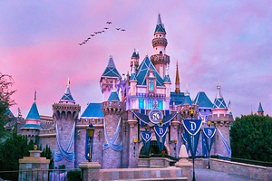 Sunset Birds over Castle