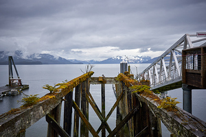 Abandoned Dock Remains