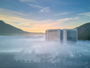 Casino In The Mist