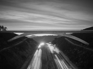Lilac Bridge Sunrise Black & White Close Up
