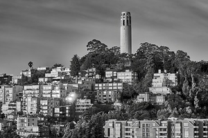 San Francisco Coit Tower Sunrise B&W