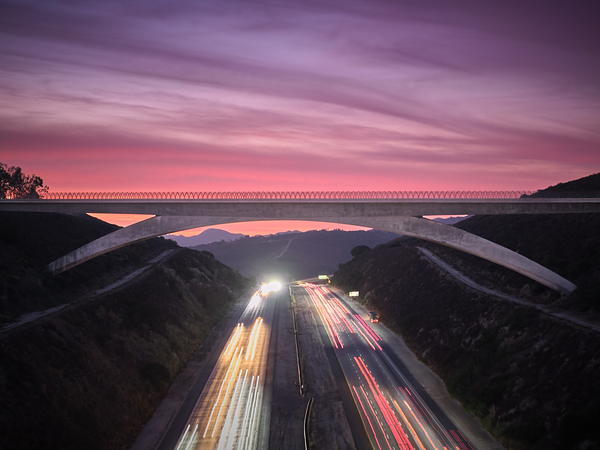 Lilac Bridge Sunrise Close Up Print
