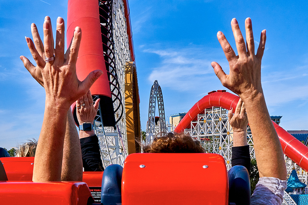 Before the Loop Print