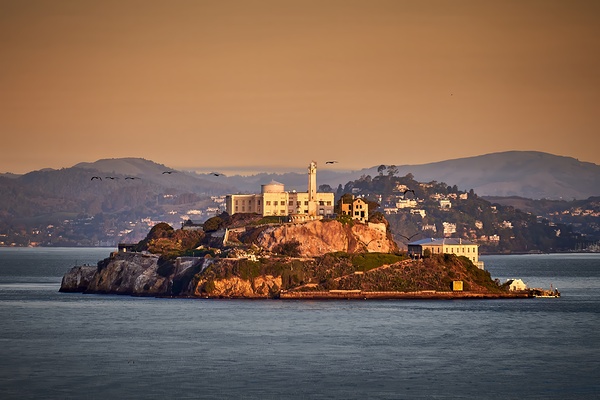 San Francisco Alcatraz Sunrise Birds Print