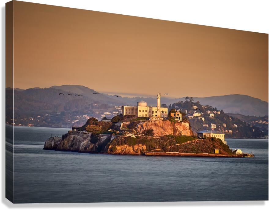 San Francisco Alcatraz Sunrise Birds Canvas Print