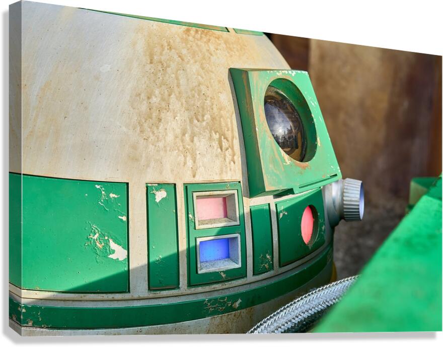 Droid Companion Details Canvas Print