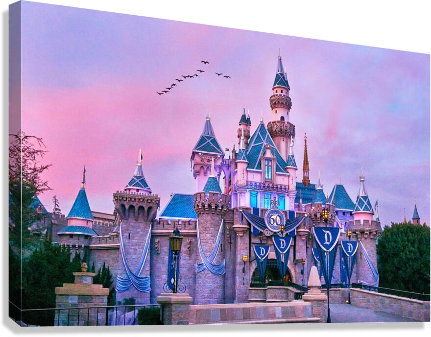 Sunset Birds over Castle Canvas Print