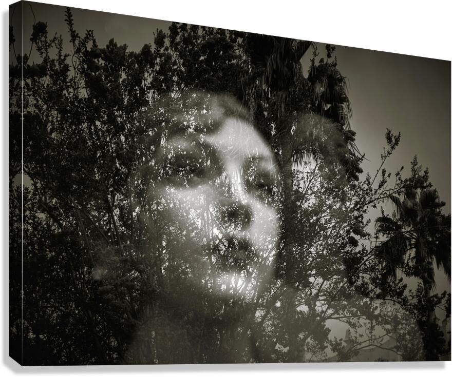 Contemplative Reflections Canvas Print